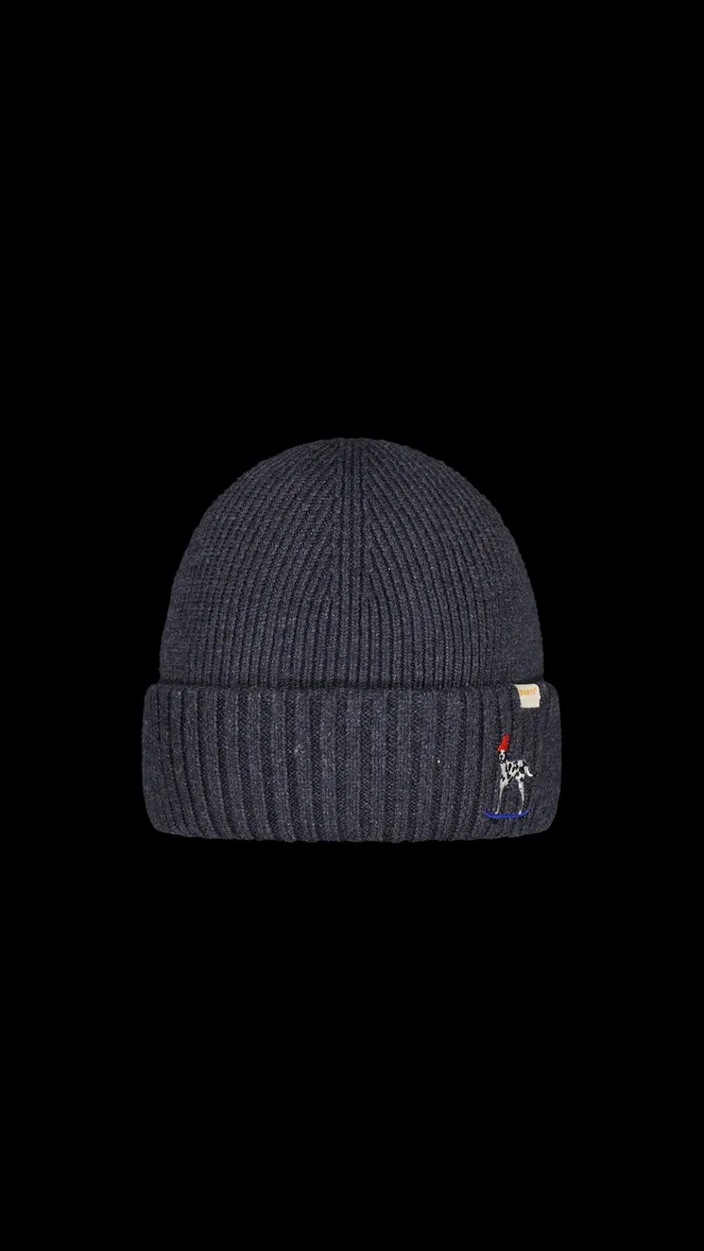 Jayzon Beanie